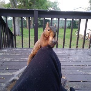 Meet your Posher, Leon